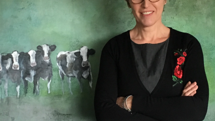 Molcoursen - avancés - IMG 1