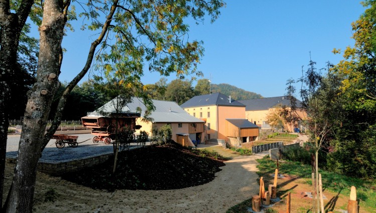 Guided Summer Tours - Guttland for kids - IMG 1